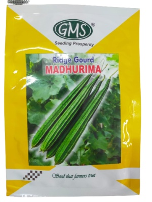 GMS Ridge Gourd Seeds Madhurima Summer showing vegetables 30gm